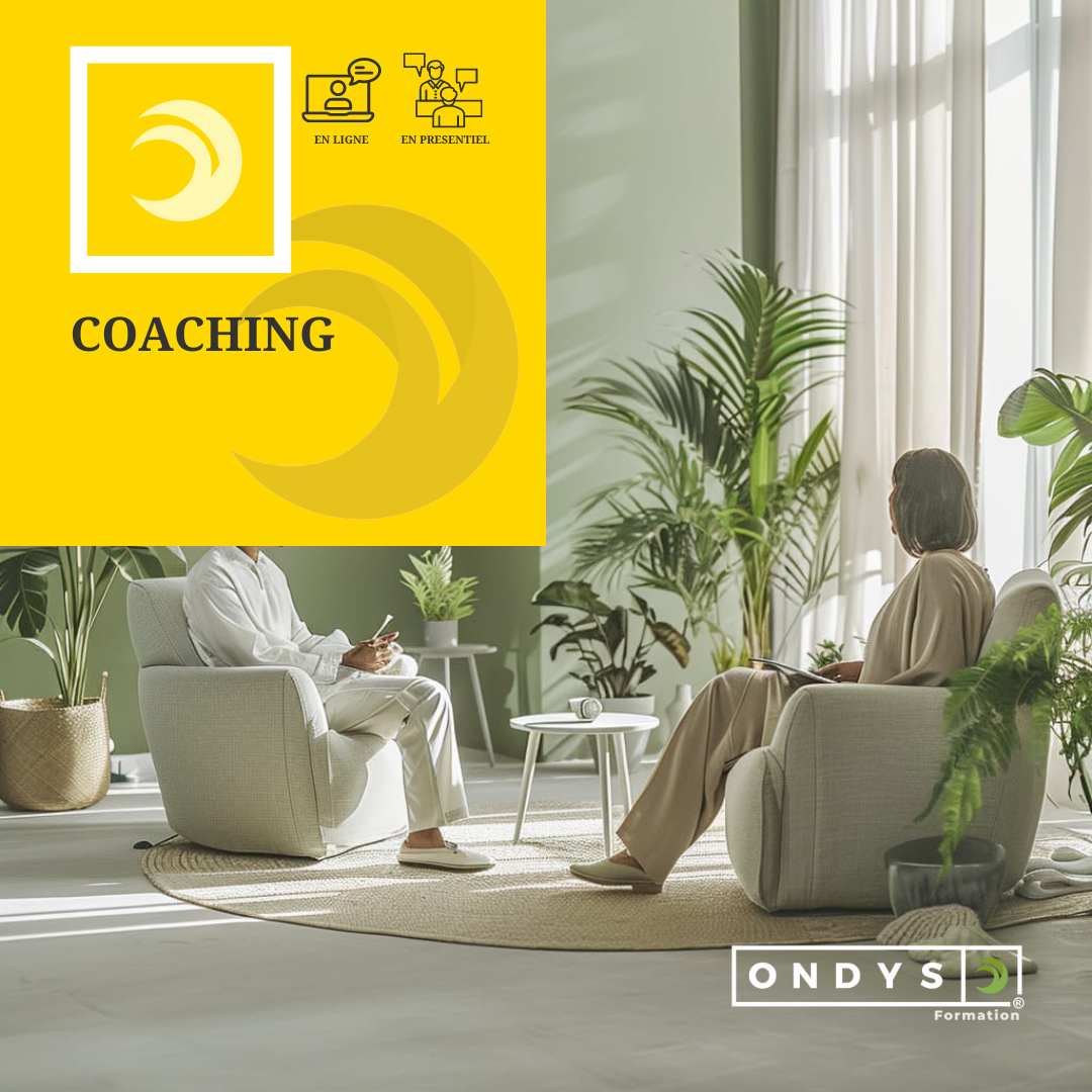 Séance de coaching personnalisé par ONDYS® Formation
